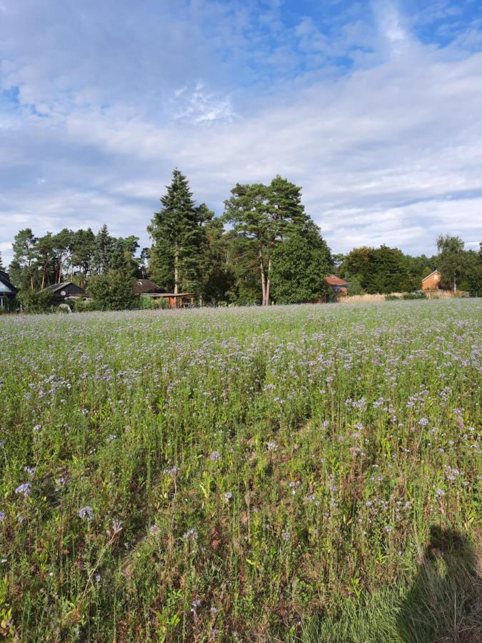 Max Mit Sauna Rehburg-Loccum