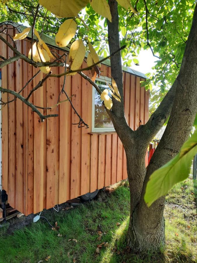 Max Mit Sauna Ferienhaus *